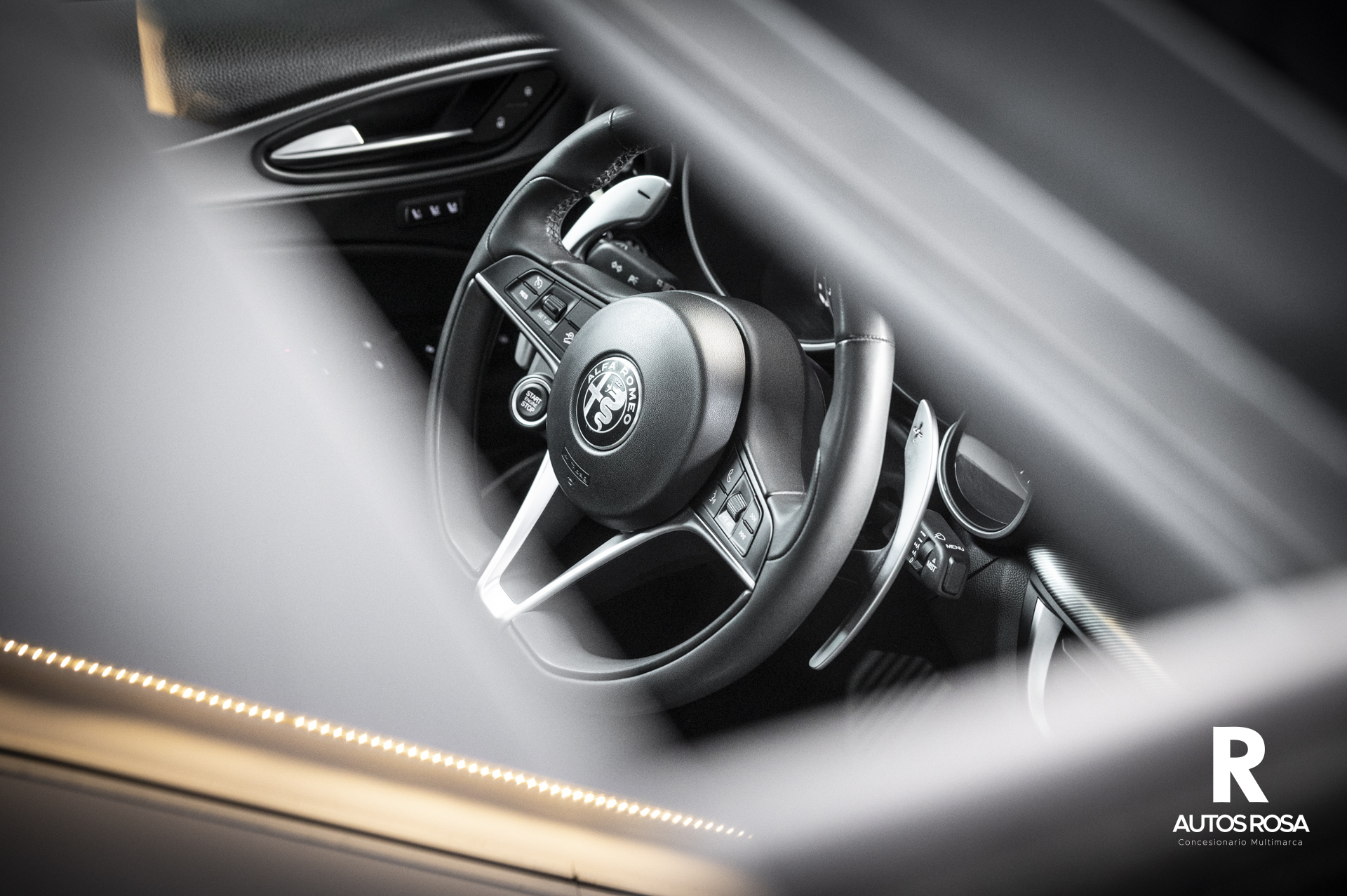 
								ALFA ROMEO STELVIO 2.2 EXECUTIVE Q4 completo									