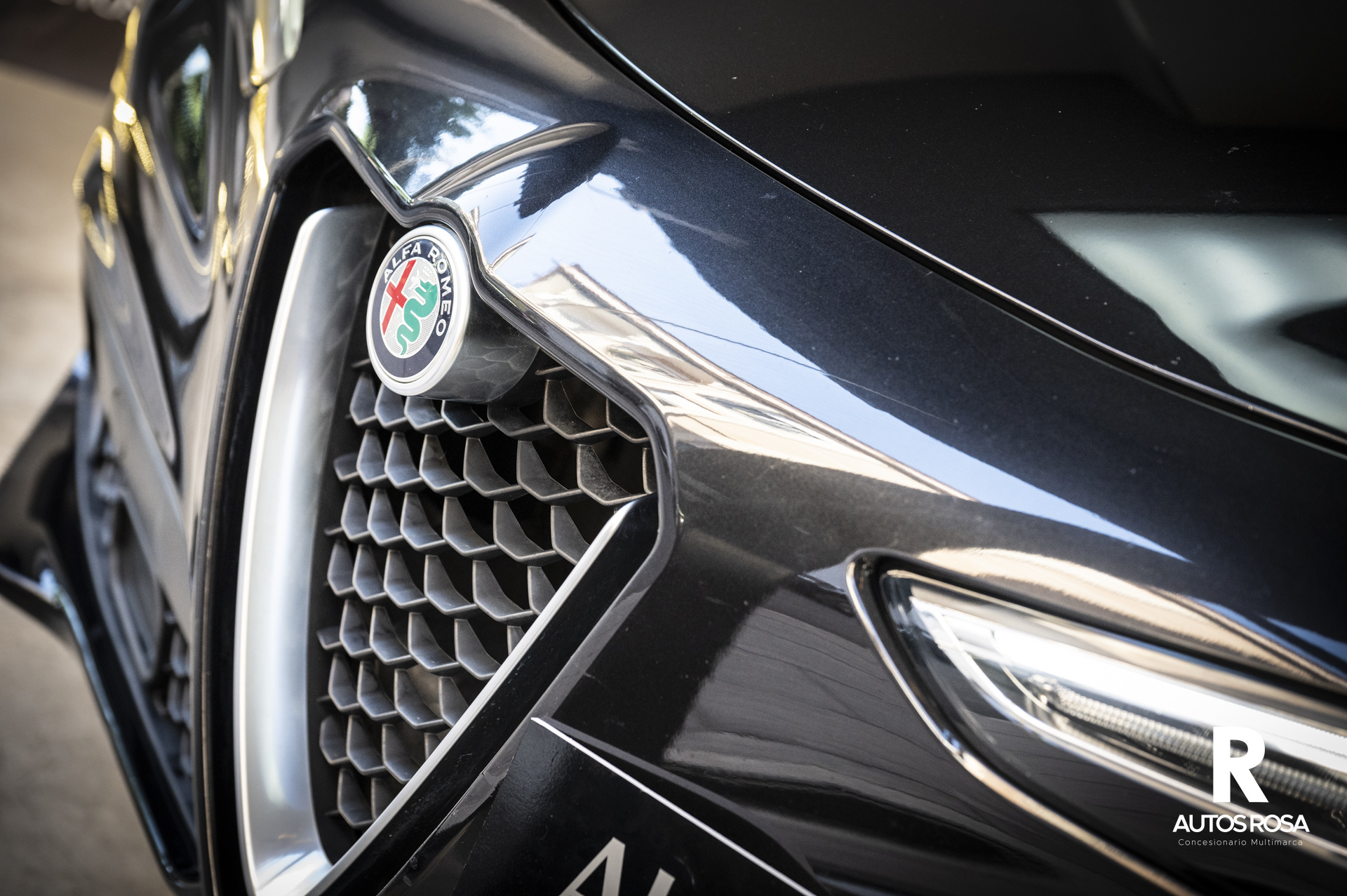 
								ALFA ROMEO STELVIO 2.2 EXECUTIVE Q4 completo									