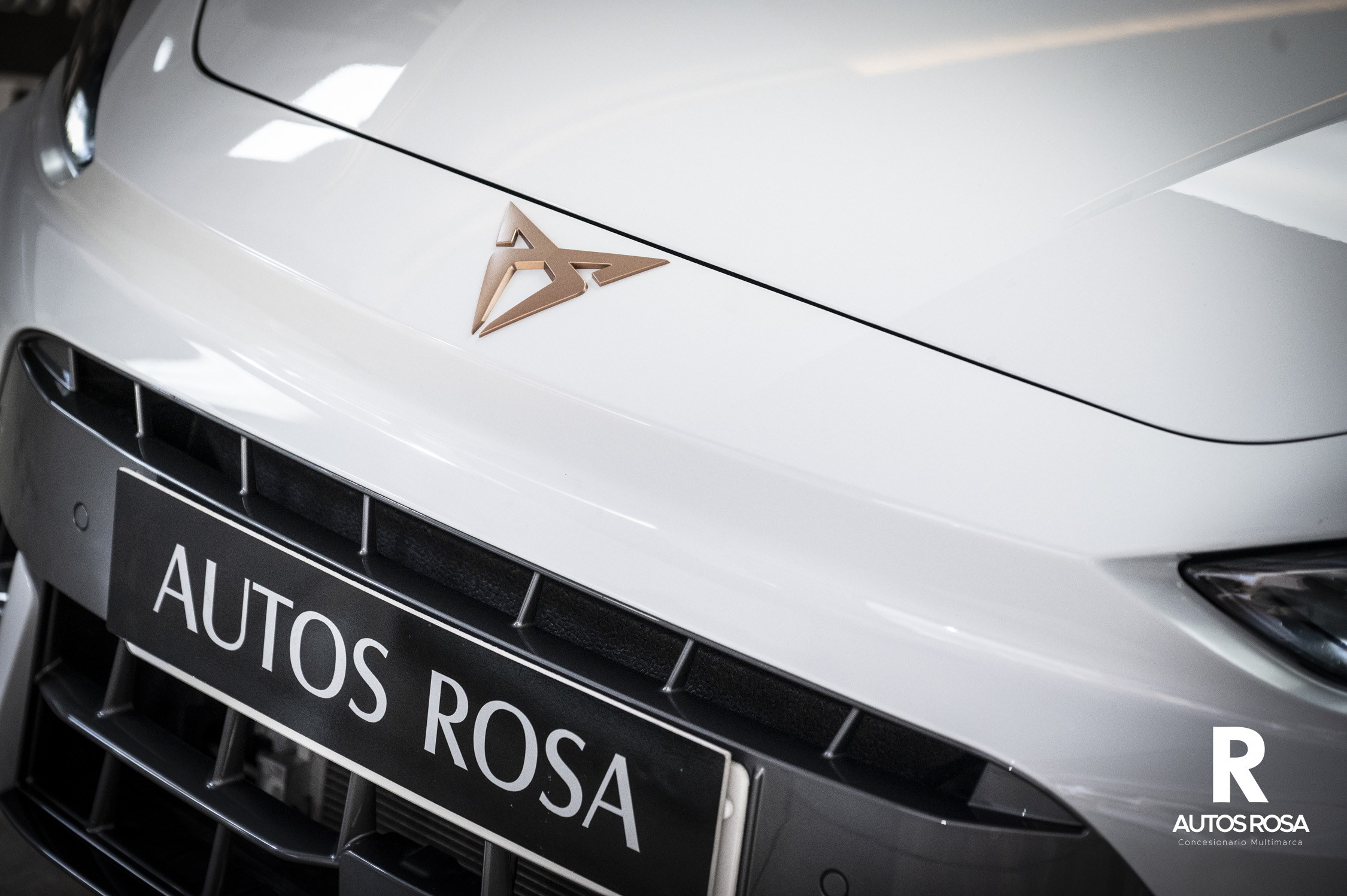 
								CUPRA León 1.5 TSI completo									