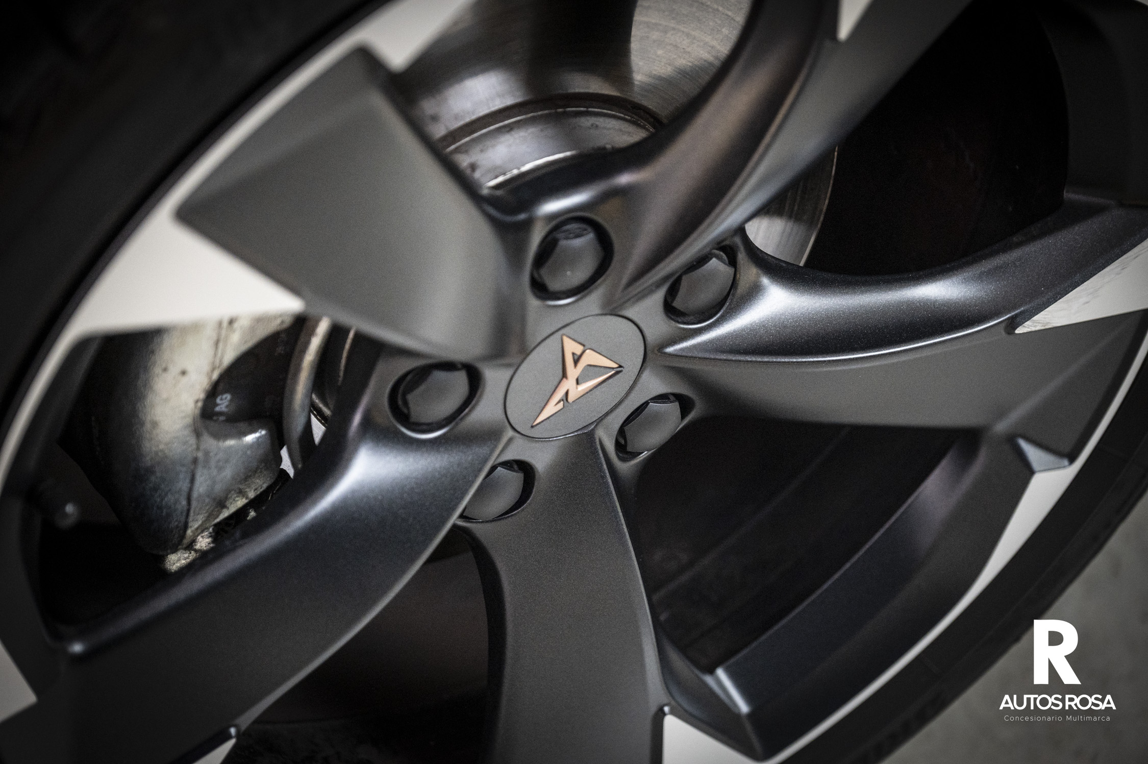 
								CUPRA León 1.5 TSI completo									